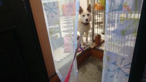 行かないの？ 2020/6/28