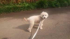 朝のお時間 2020/7/12