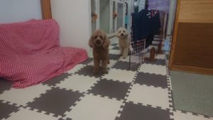 昼のお時間 2020/7/12