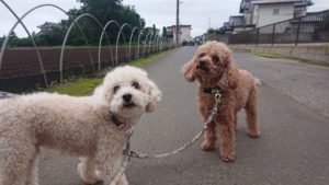 まだまだ食べたりないか！ 2020/7/13