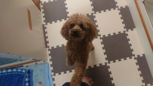 お昼の時間 2020/7/14