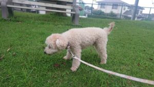 おおお(￣▽￣;) 2020/7/14