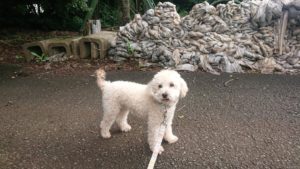 落ち着け(笑) 2020/7/15