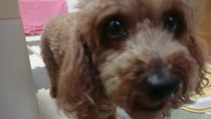 お昼の時間 2020/7/15