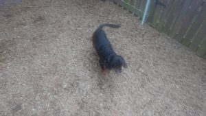 ゆっくりとね 2020/7/21