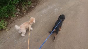 仲良くできるかな？ 2020/7/22