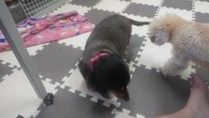 慣れる為に来ました 2020/7/22