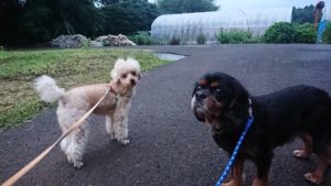 それぞれに 2020/7/22