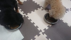 雨スタートかぁ 2020/7/23