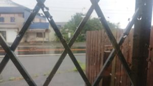 お昼のお時間 2020/7/23