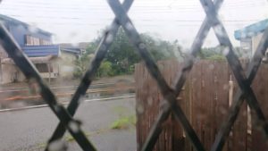 印西市近郊のペットホテルセカンドファミリー／朝のお時間　2020年7月25日