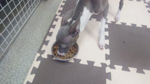 昼のお時間 2020/7/25