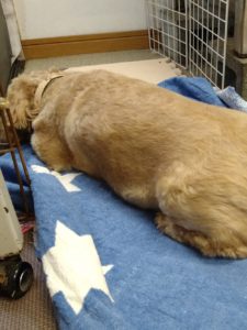 昼のお時間　2020/7/31