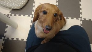 若さ😁　2020/8/2