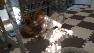 そうかぁ〜　2020/8/3