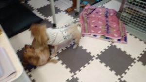 いいぞいいぞ！　2020/8/4