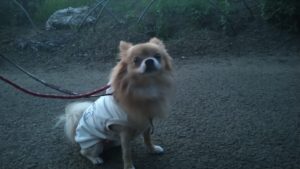 おおおおお！　2020/8/4