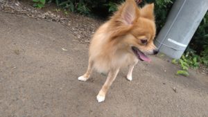 あちぃ〜ね😅 2020/8/5