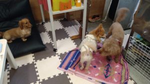 楽しんでます！　2020/8/5