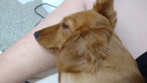 送迎中　2020/8/5