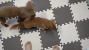 昼のお時間　2020/8/6