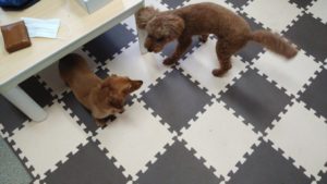 昼のお時間　2020/8/7