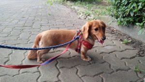 あたたたたたた　2020/8/7