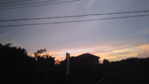 富里市のペットホテルセカンドファミリー／夜のお時間　2020年8月13日