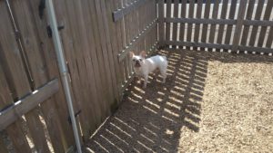 昼のお時間　2020/8/14