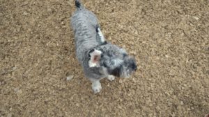 昼のお時間　2020/8/16