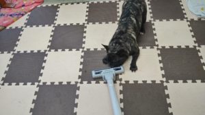 外あちぃ〜　2020/8/18