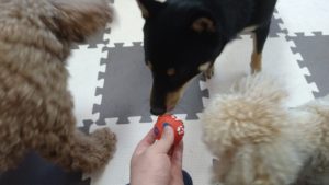 サラッと　2020/8/19