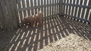 あひぃ〜😅　2020/8/20