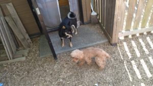 たしなむ程度？　2020/8/21