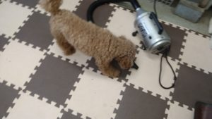 察知したか！　2020/8/22