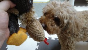 昼過ぎのお時間　2020/8/23