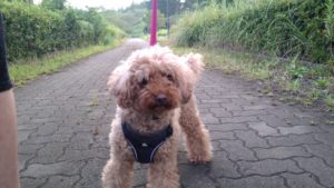 お泊り最後の夜　2020/8/23