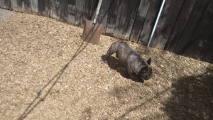 お昼のお時間　2020/8/30