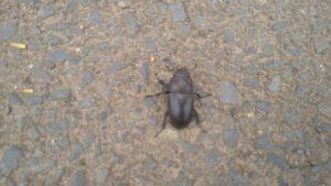 トニー・スタークがぁ！　2020/8/31