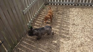 昼のお時間　2020/8/31