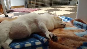 日中のお時間　2020/9/11