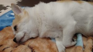 寝ていても　2020/9/13