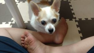 あら？　2020/9/14