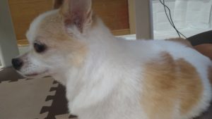 わかります？　2020/9/15