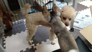 昼のお時間　2020/9/20