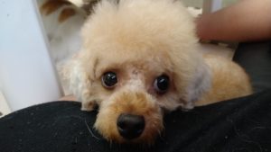 フワフワした？　2020/9/21