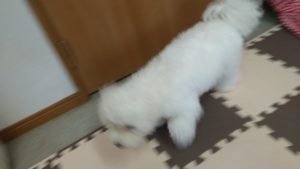 昼過ぎのお時間　2020/9/22