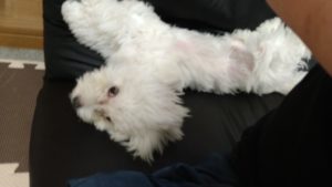 昼のお時間　2020/9/23