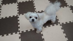 昼のお時間　2020/9/25