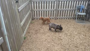 昼のお時間　2020/9/1